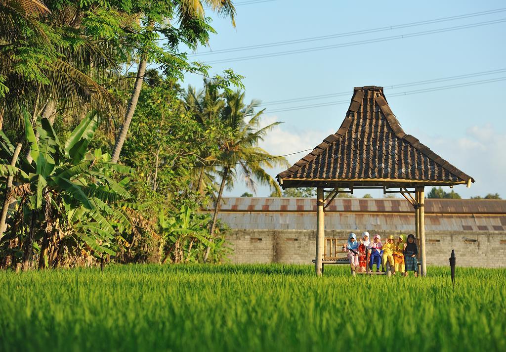 D'Omah Yogya Hotel Yogyakarta Exterior foto